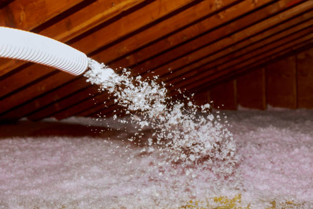 Best Geographic-Specific Insulation Services in Thompson Falls, MT