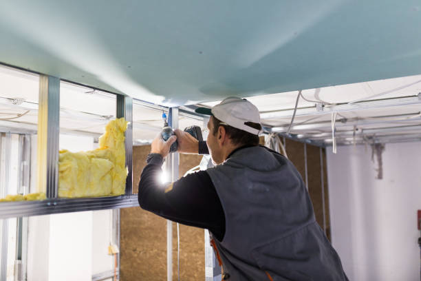 Best Eco-Friendly Insulation in Thompson Falls, MT
