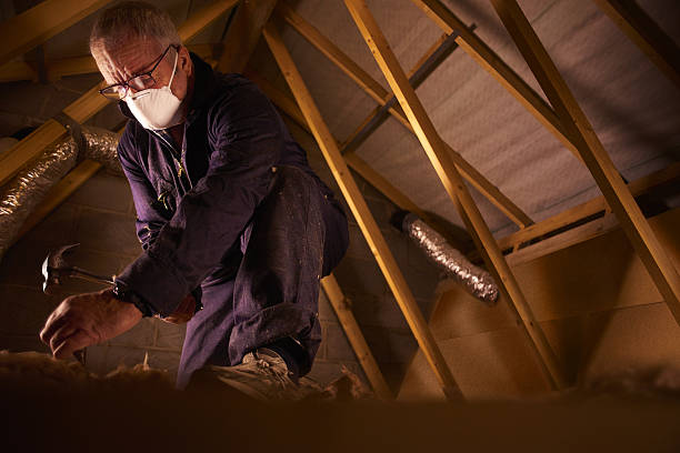 Best Fiberglass Insulation in Thompson Falls, MT