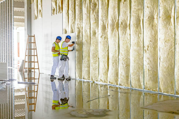 Best Cellulose Insulation in Thompson Falls, MT